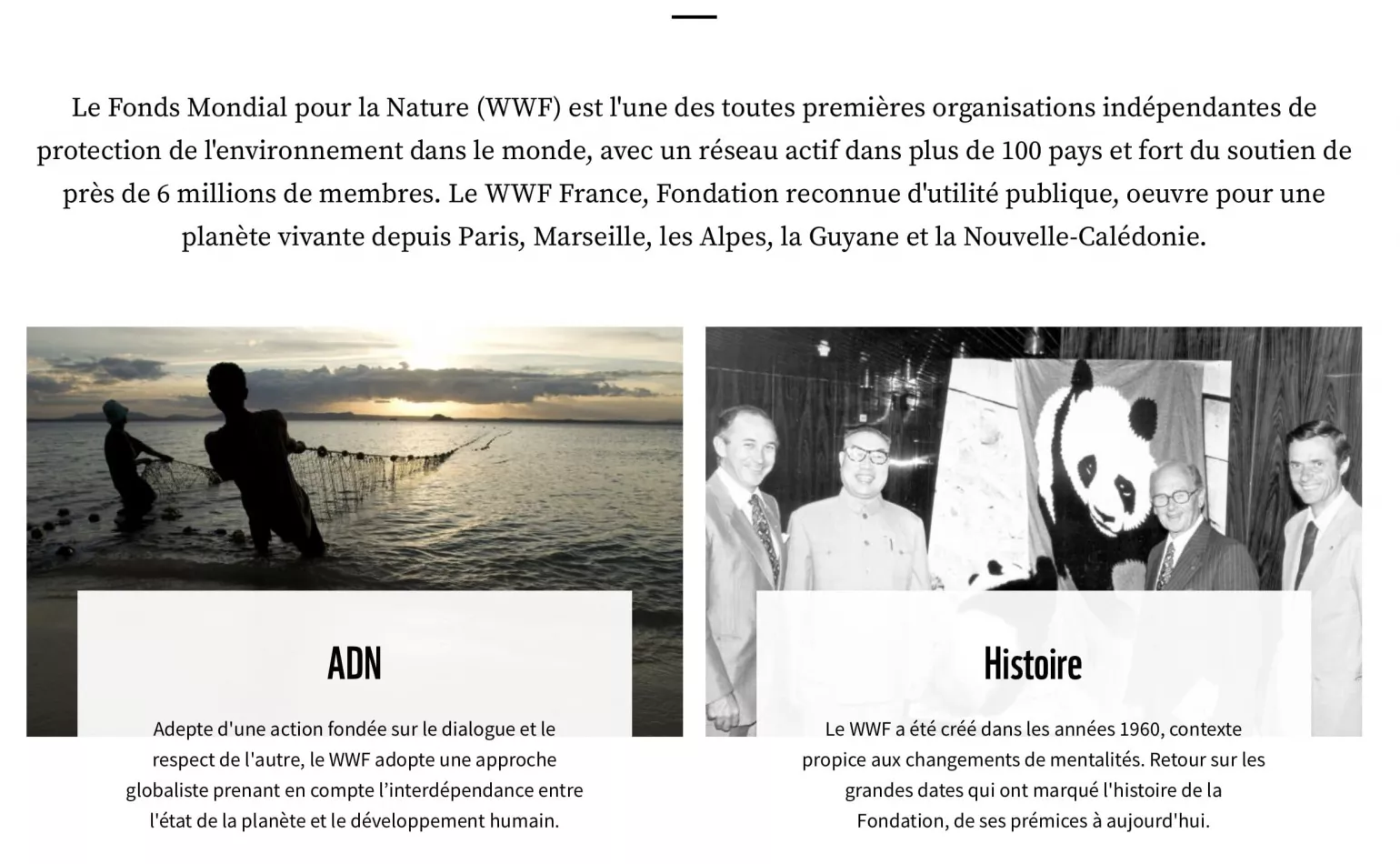 Actency - Référence - WWF